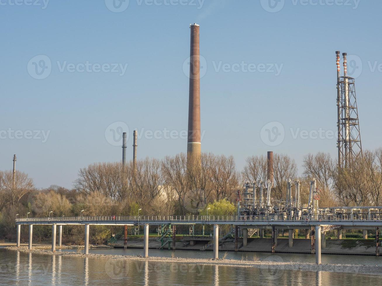 the rhine river near cologne photo