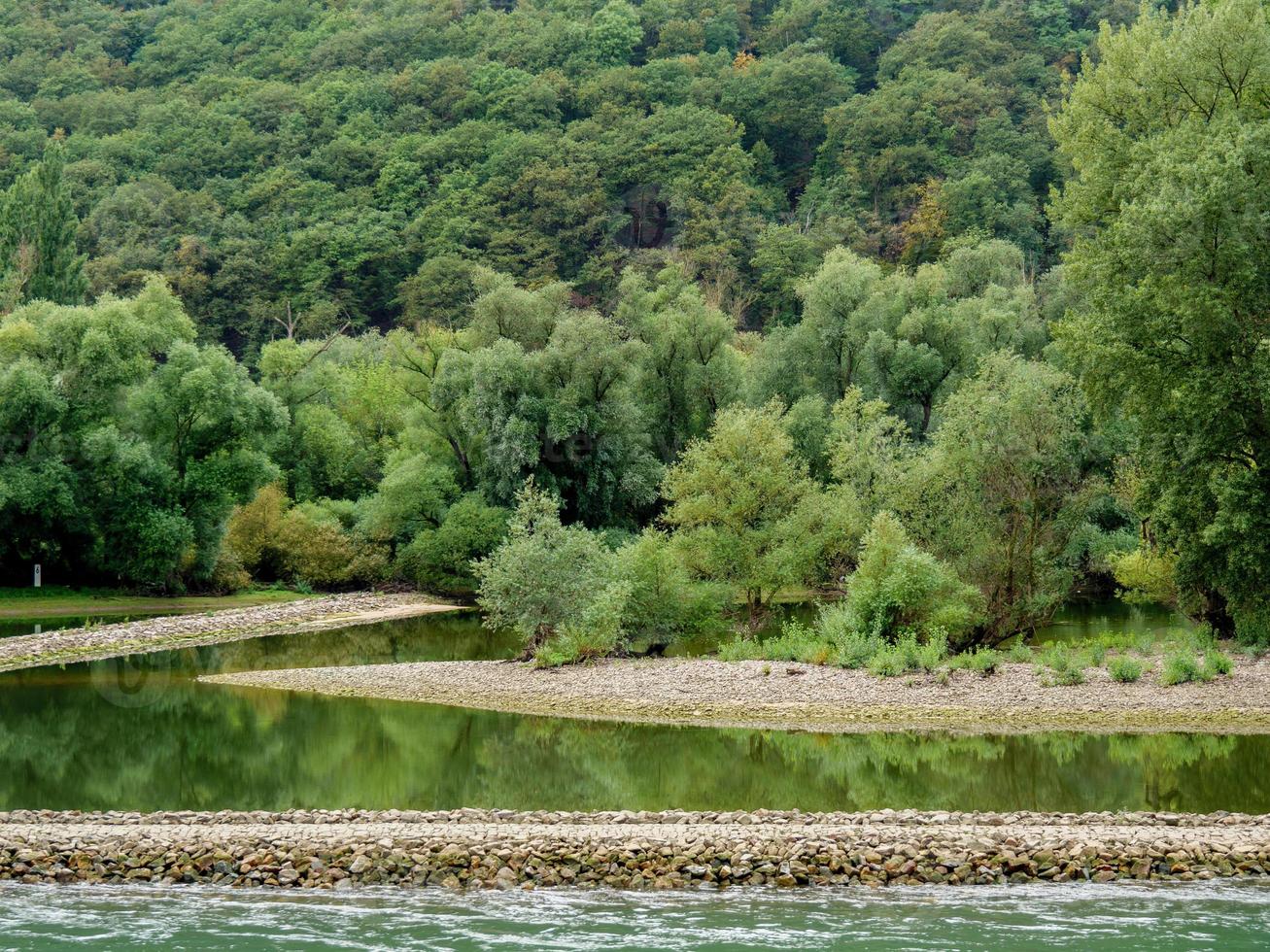 the river rhine near bingen photo