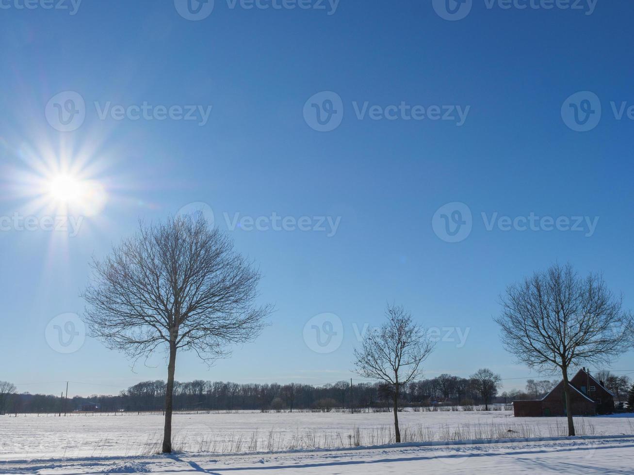 winter time in westphalia photo