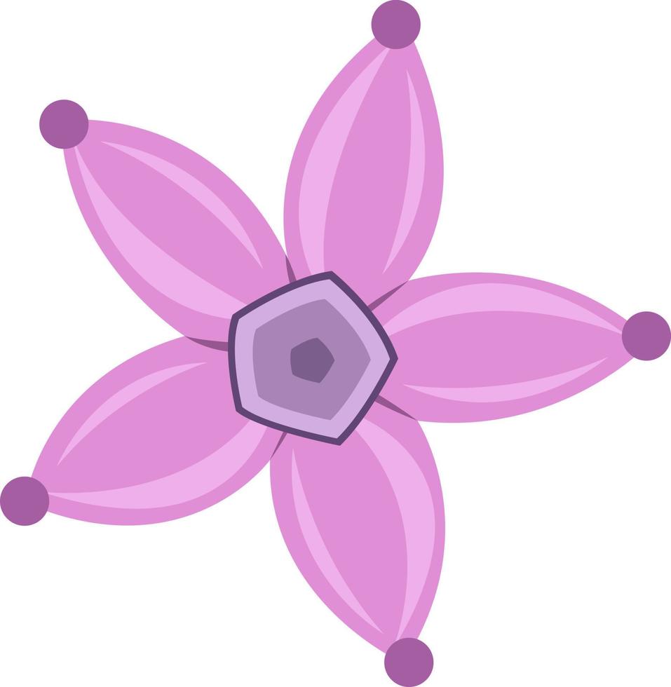 ilustración de vector de flor de pentas para diseño gráfico y elemento decorativo