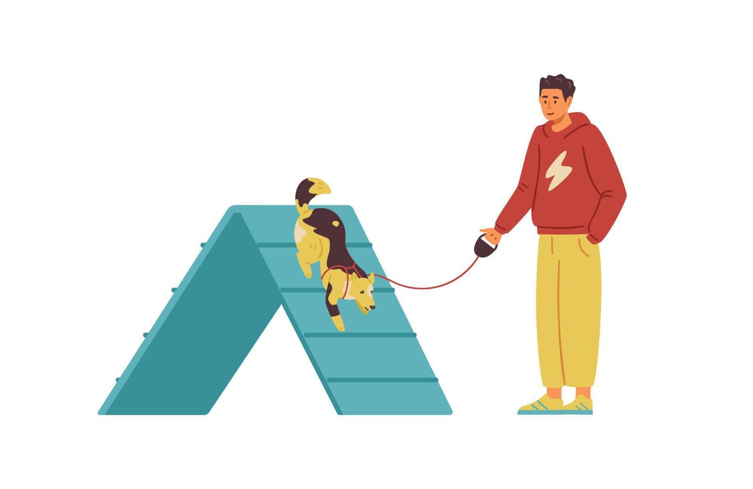 Man training his dog on agility field flat vector illustration. Dog passing boarder slide, owner standing alongside holding leash. Isolated.