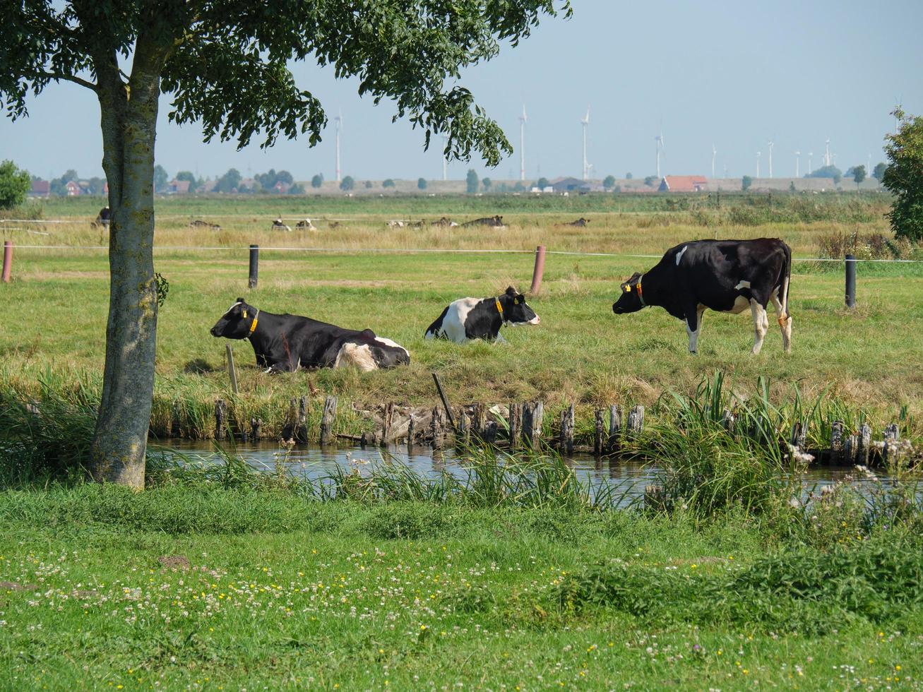 ditzum,alemania,2020-el pequeño pueblo de ditzum en el río ems en alemania foto