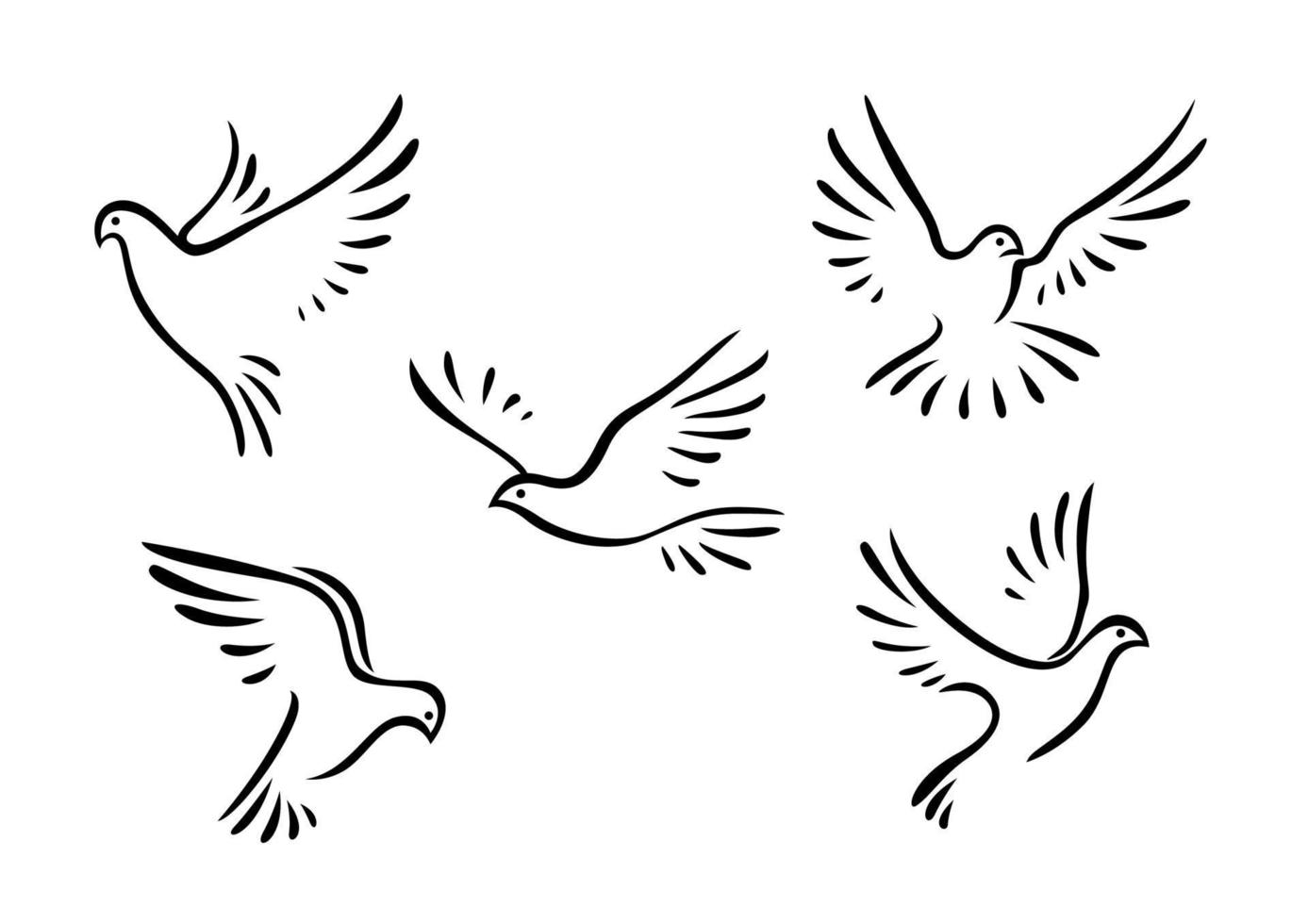 Doves and pigeons set vector