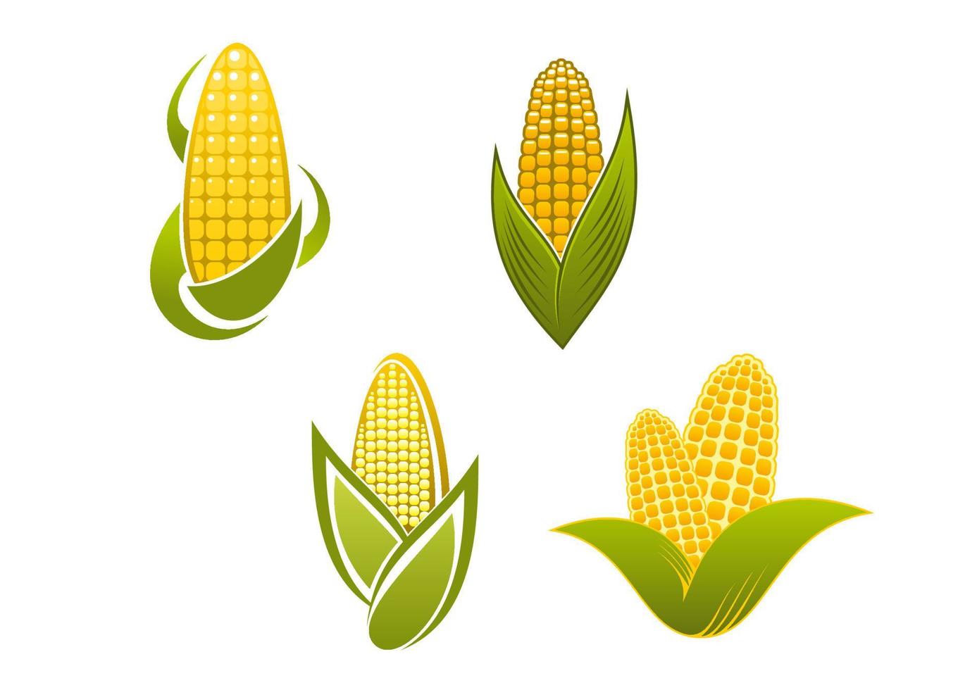 Yellow corn icons and symbols vector