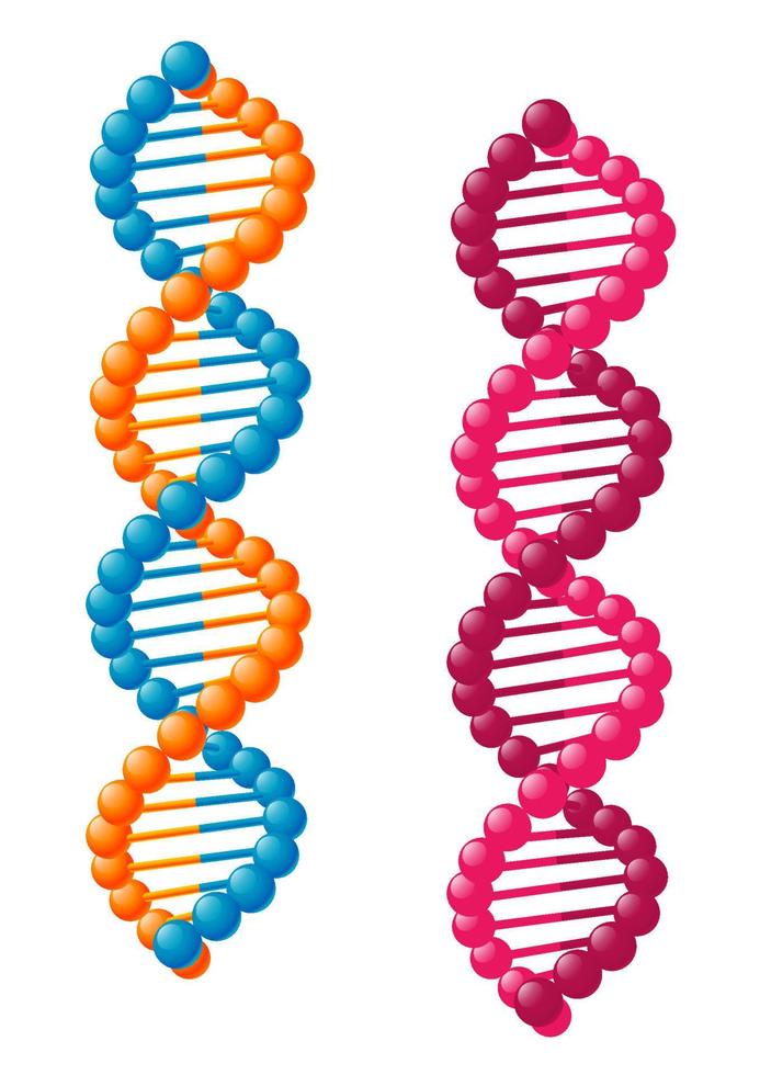 elementos de adn biologico vector