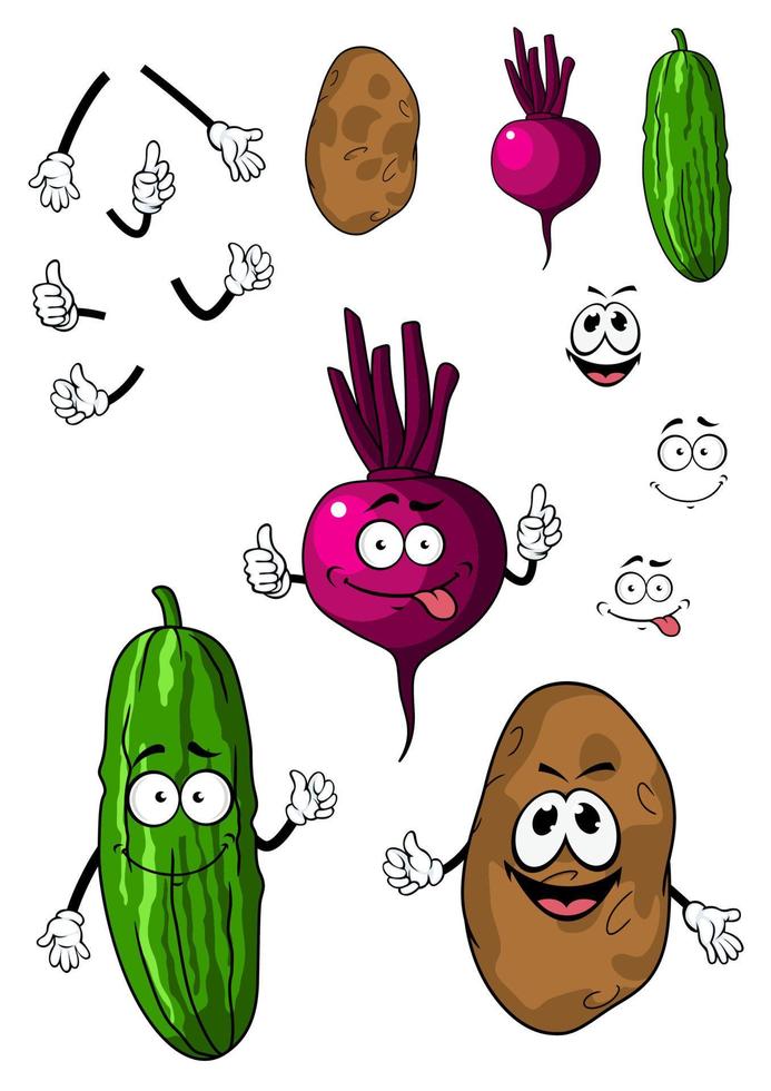 Cucumber, potato and beet vegetables vector