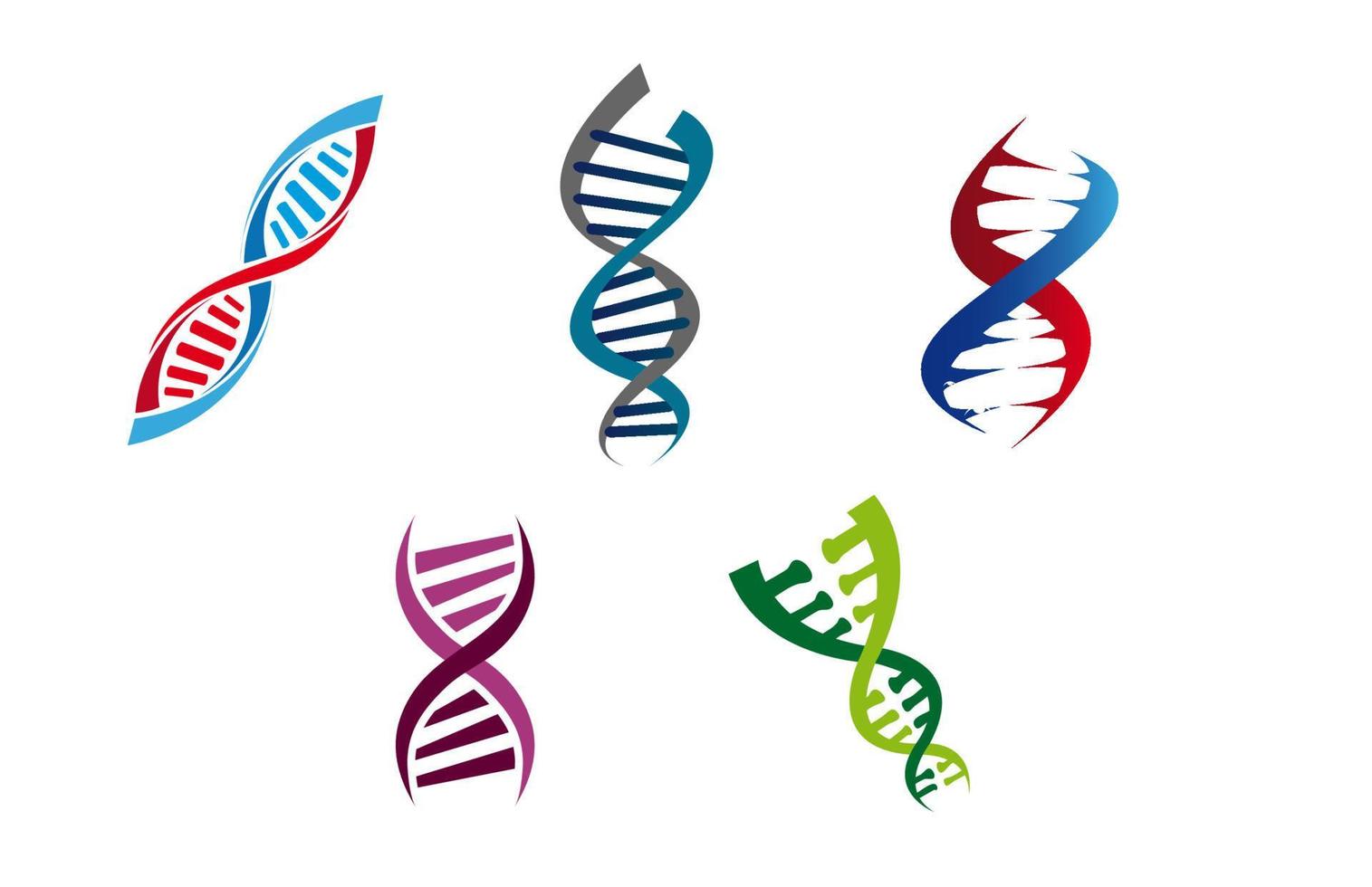 Colourful DNA strands vector