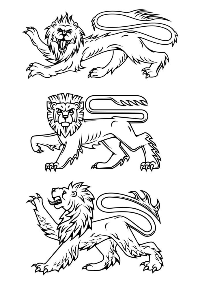 Powerful lions and predators vector