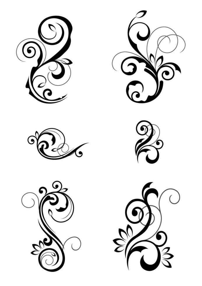 Floral cartouches and flourishes vector