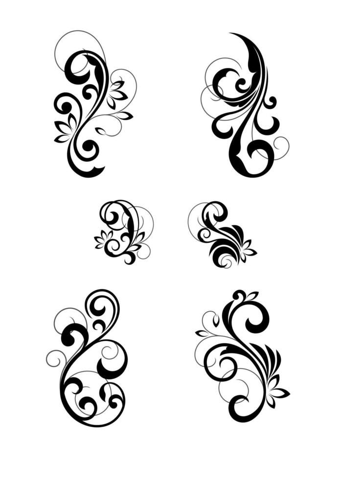 Floral cartouches and flourishes vector