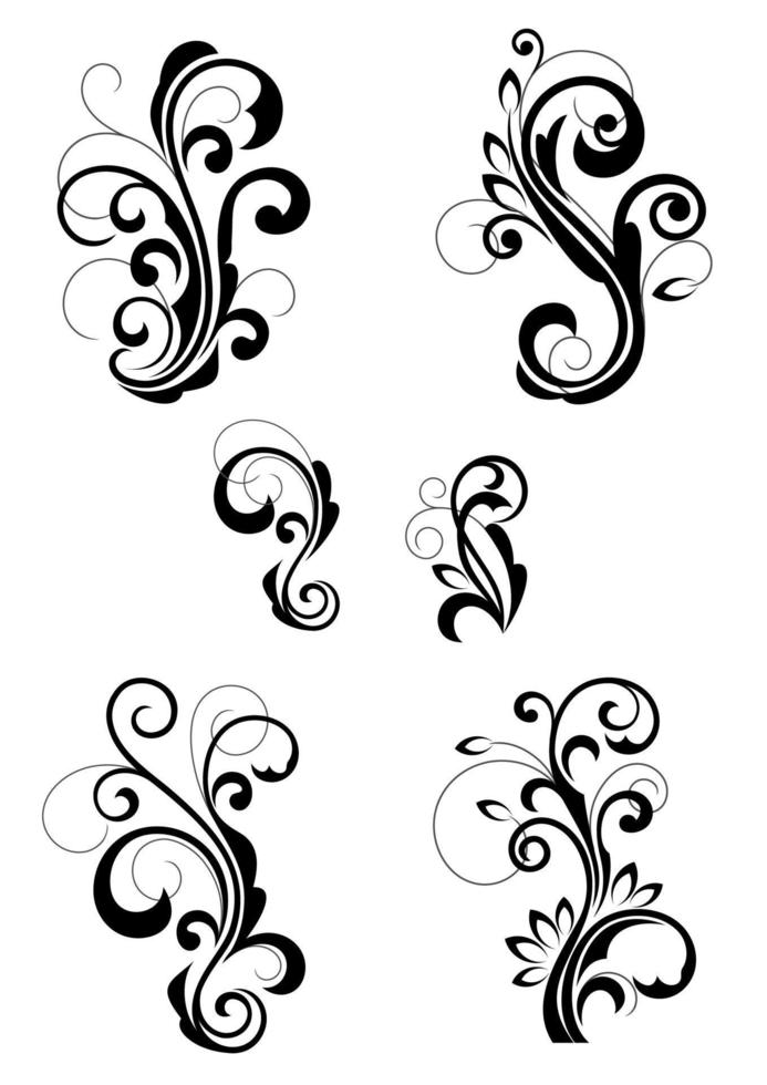 Floral cartouches and flourishes vector