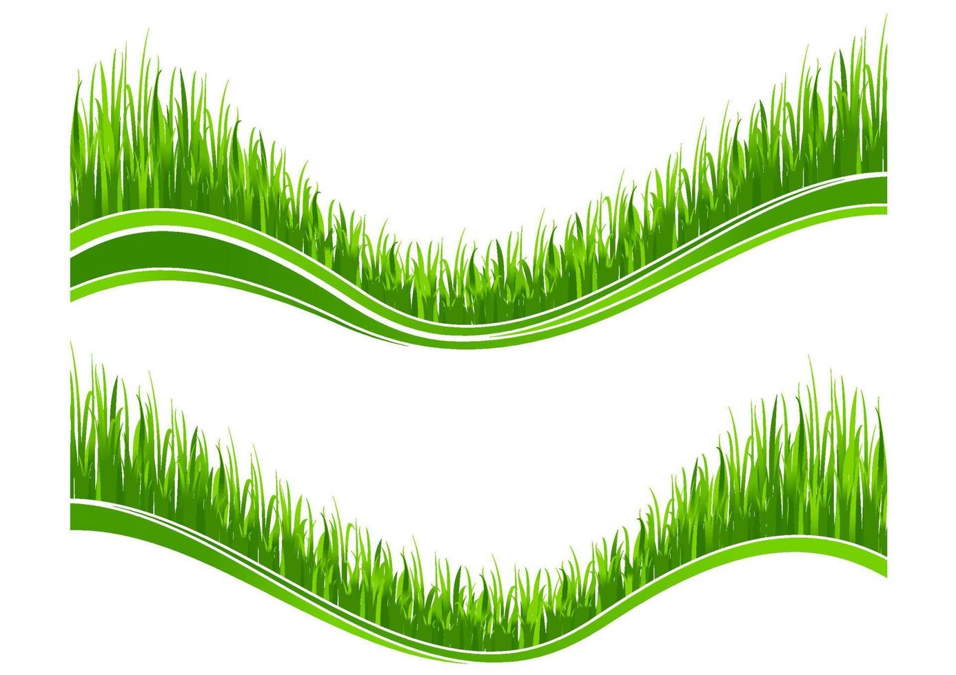 Two waves of green grass vector