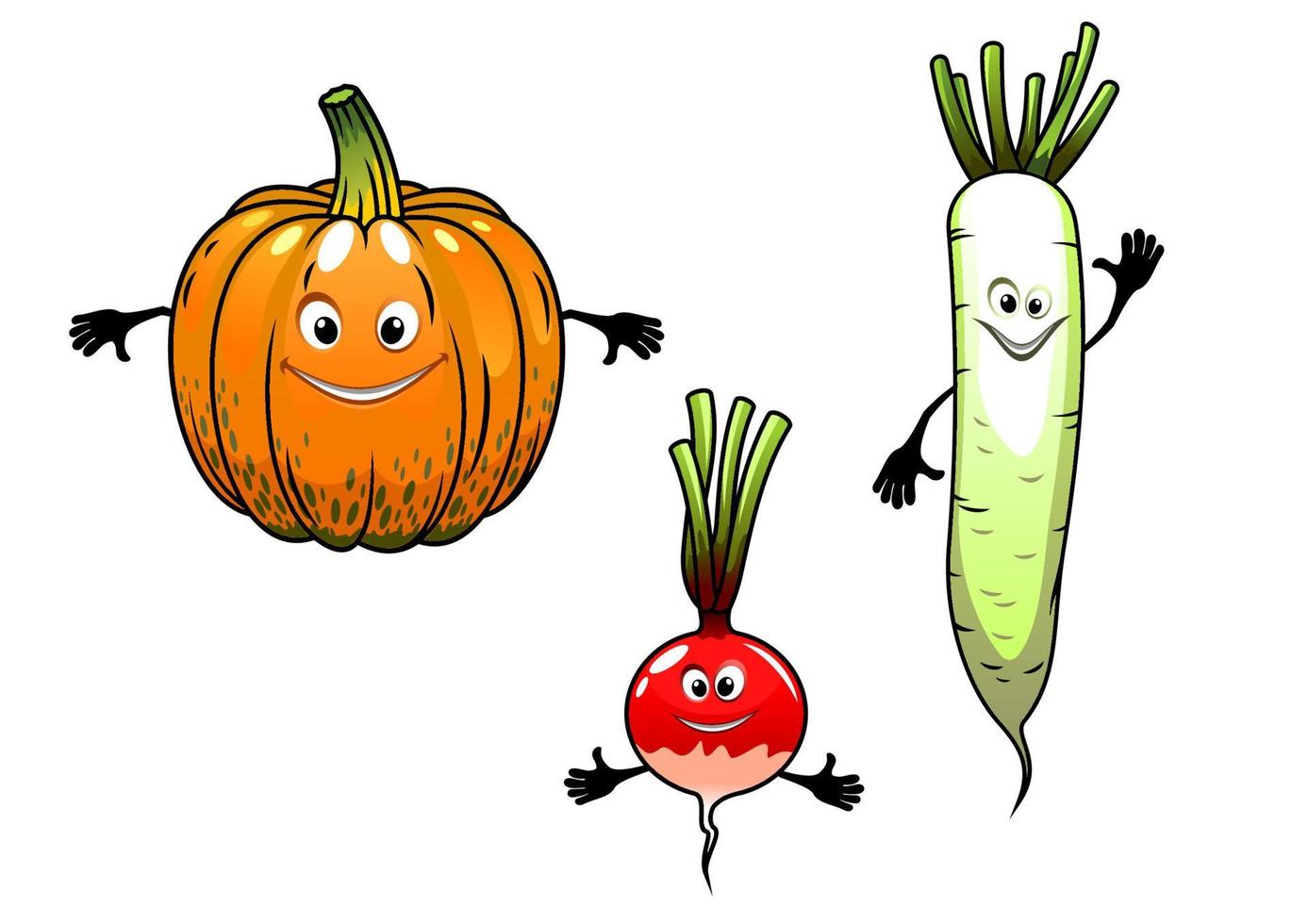 verduras de rábano, nabo y calabaza vector