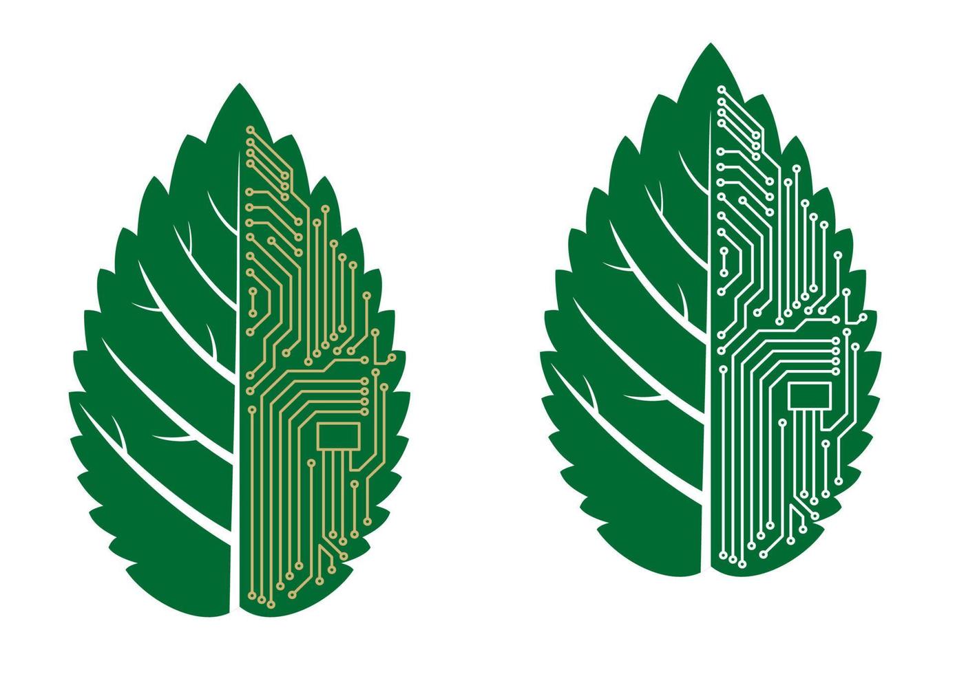 Green leaf with computer and motherboard elements vector