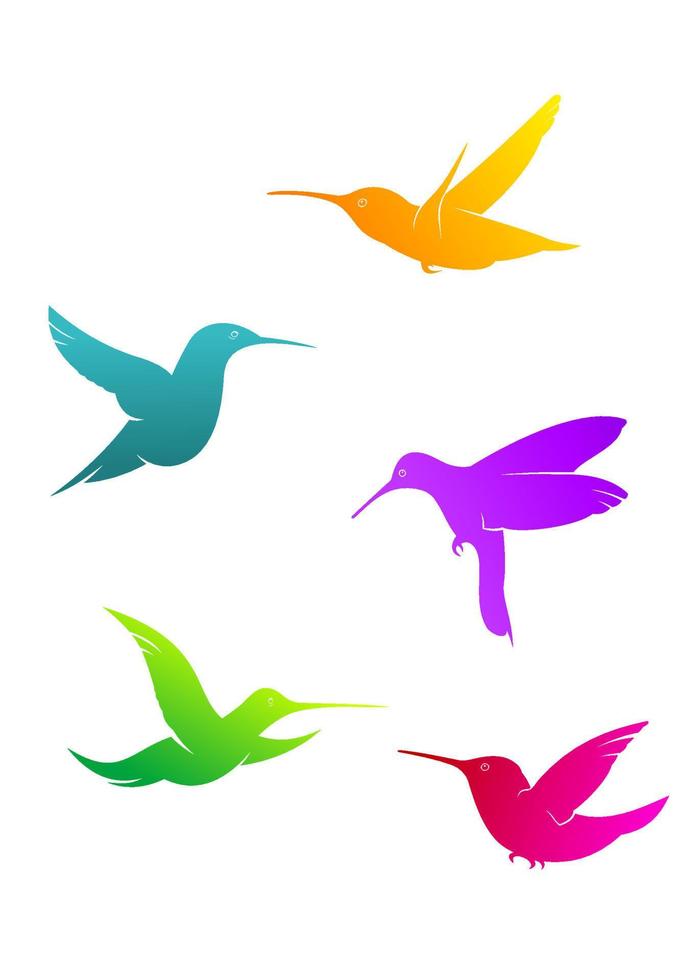 coloridos colibríes voladores vector