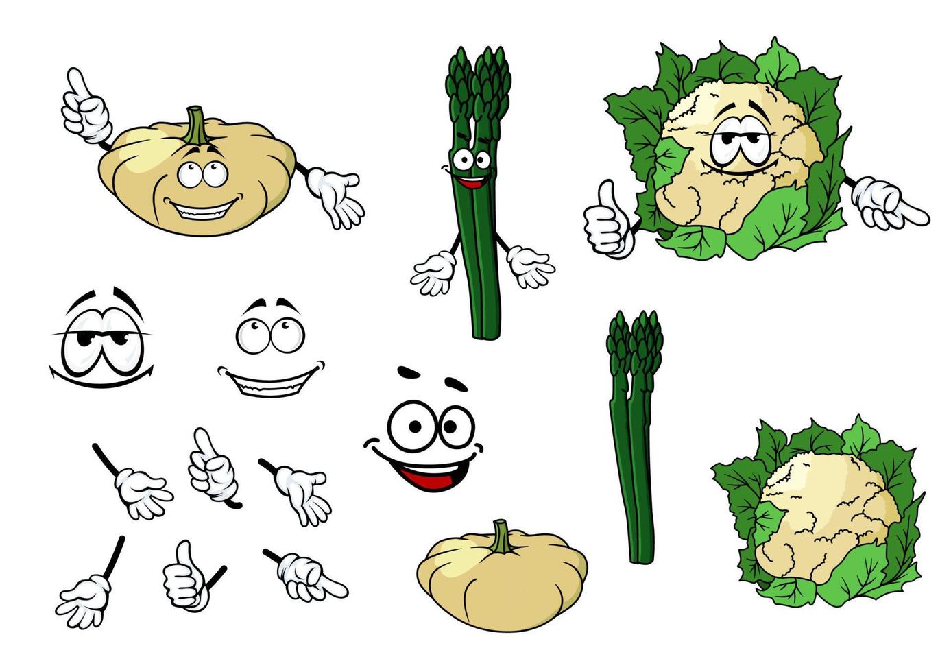 Cauliflower, zucchini and spinach vegetables vector