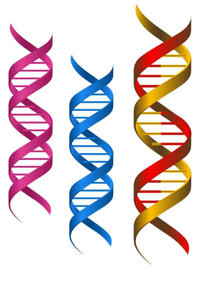 elementos genéticos del adn vector