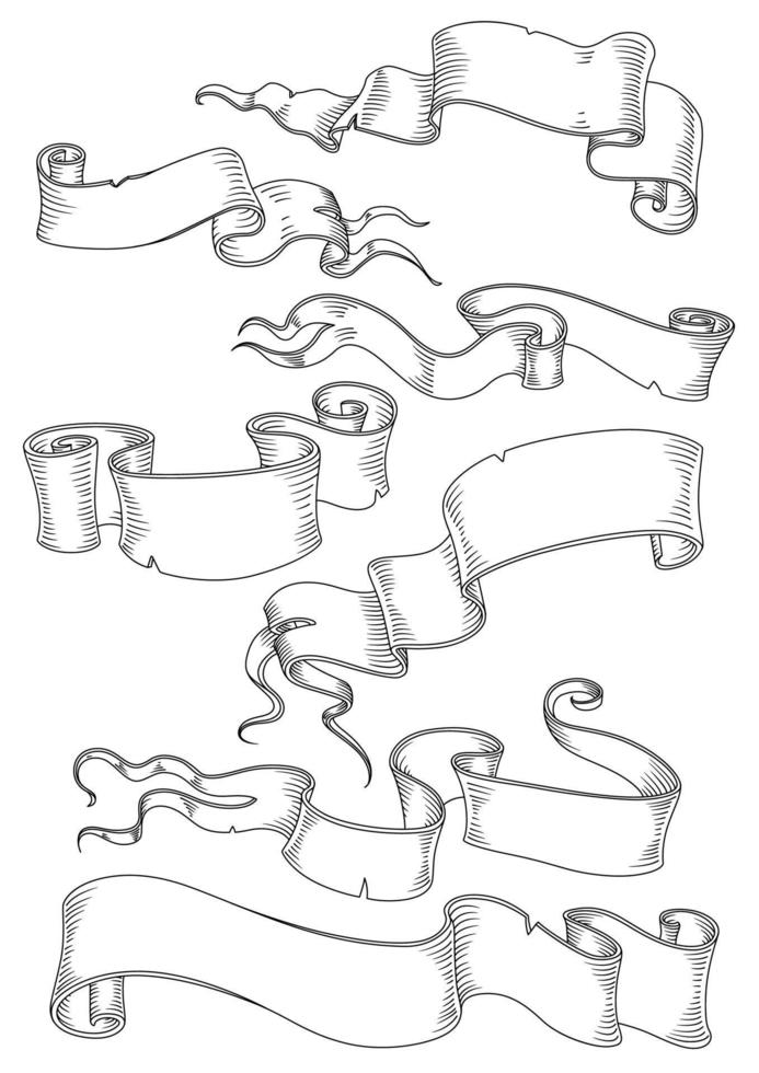 manuscritos y pergaminos vector