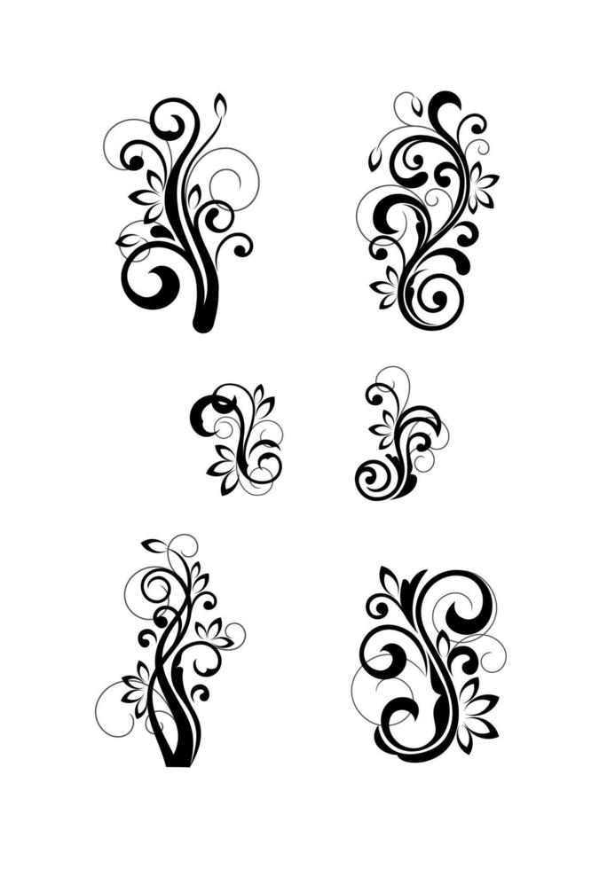 Floral cartouches and flourishes vector