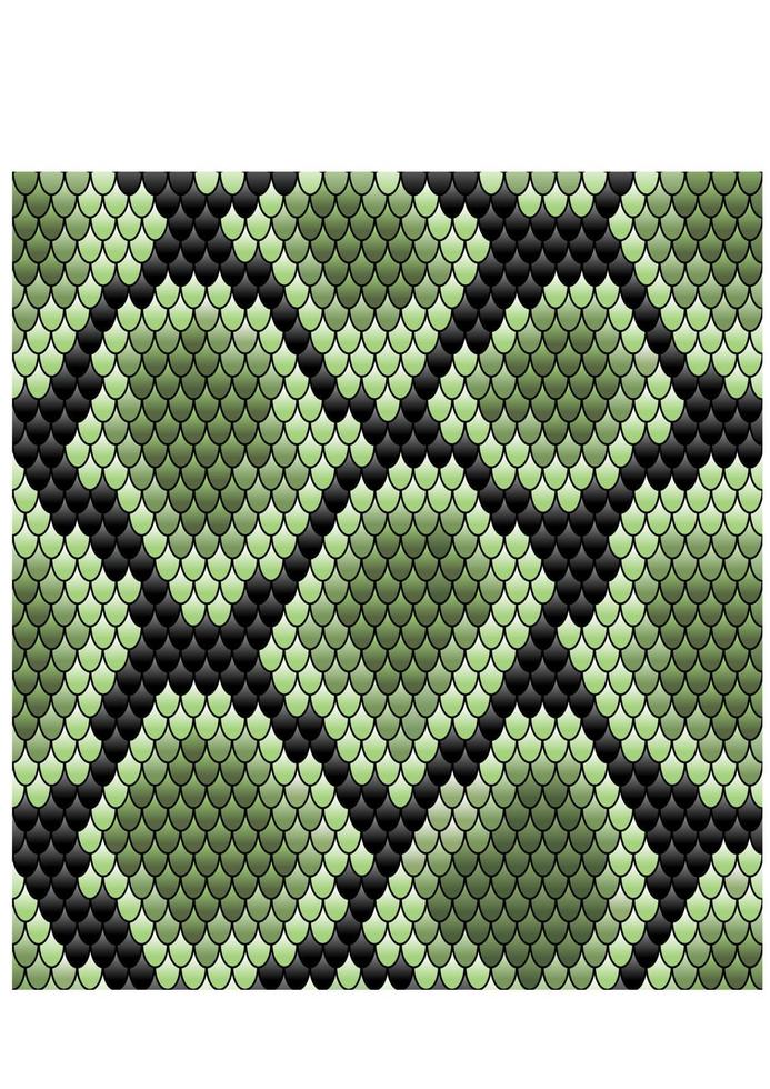 Green seamless snake skin pattern vector