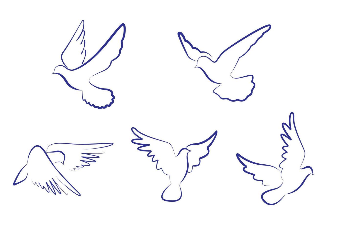 White doves and pigeons vector