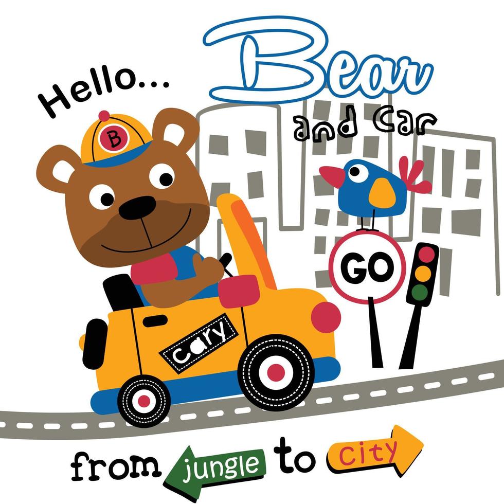 oso en el coche dibujos animados de animales divertidos vector
