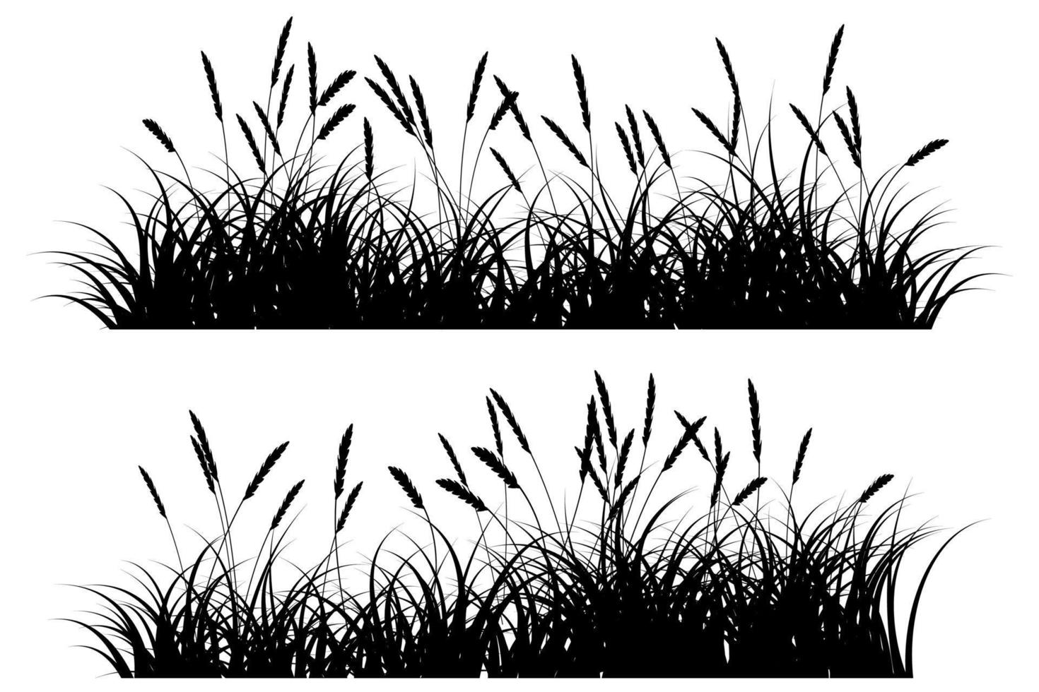 reeds grass silhouette vector