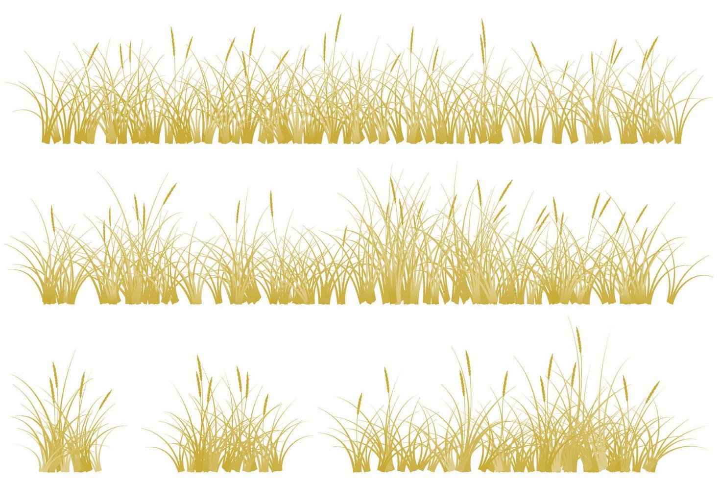 brown reeds grass. dry grass set vector