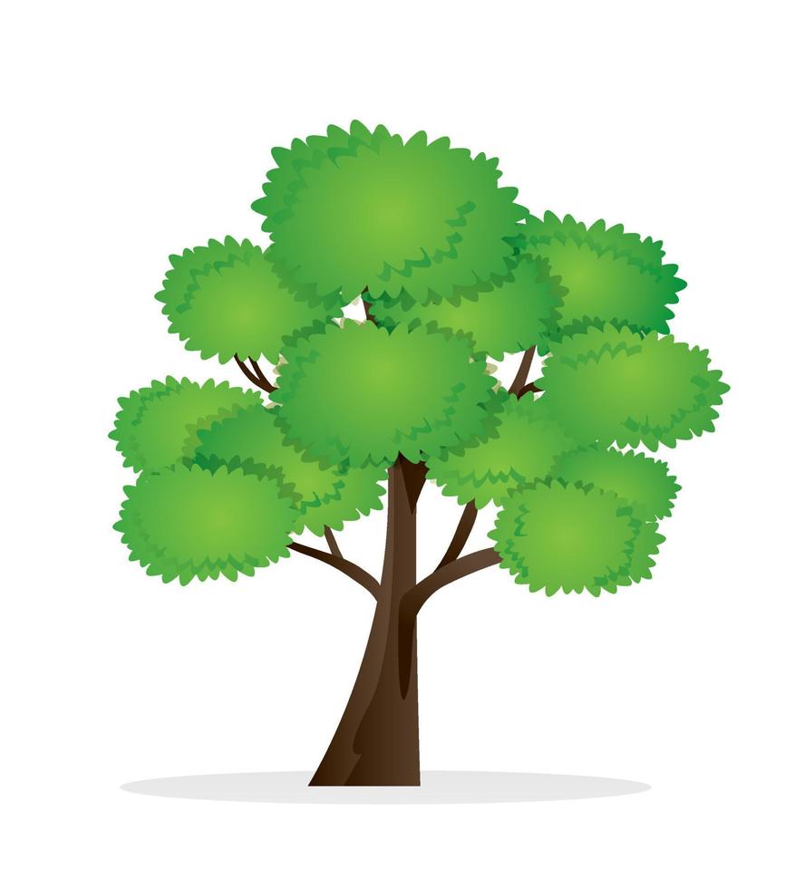 Tree Leaf Branch Vector