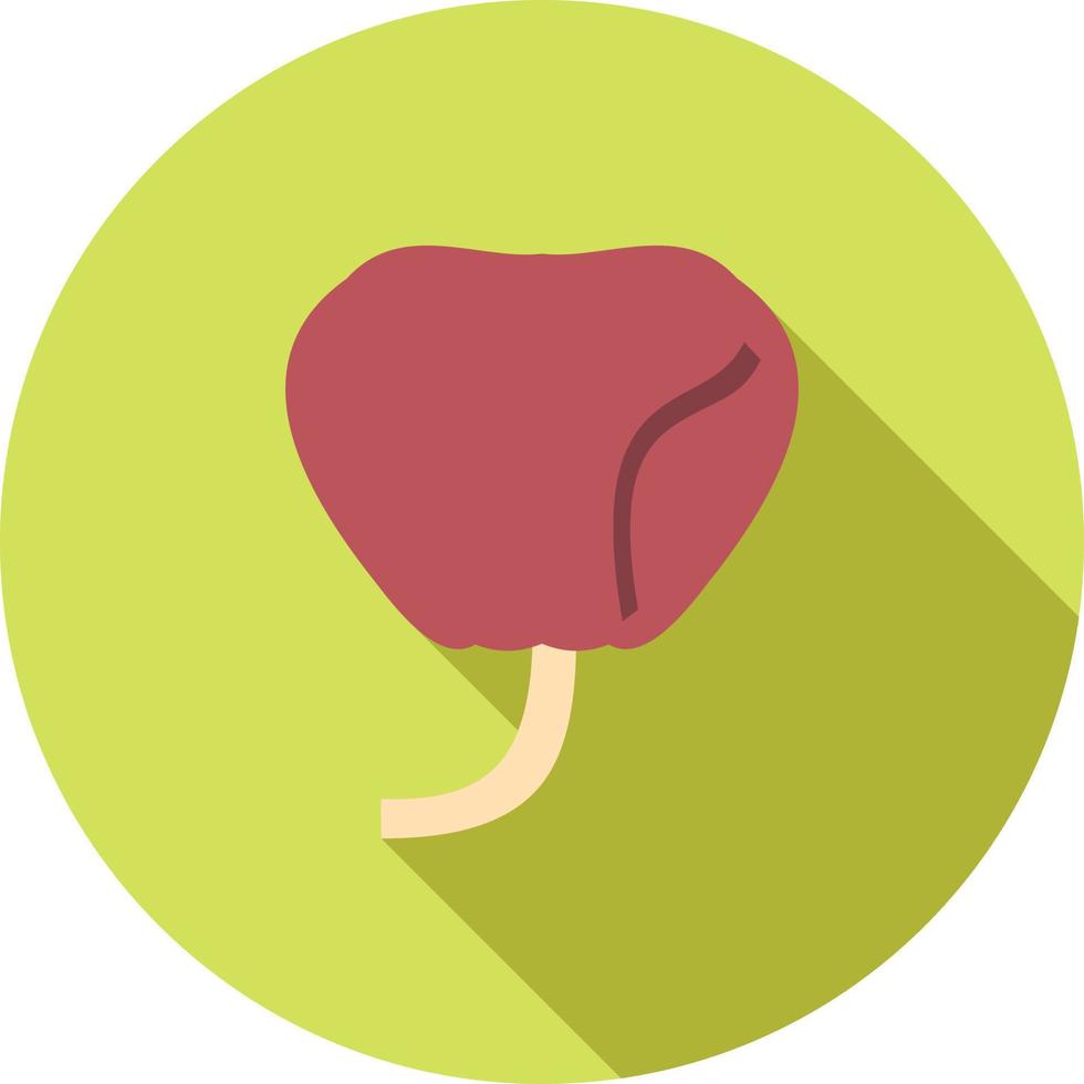 Prostate Flat Long Shadow Icon vector