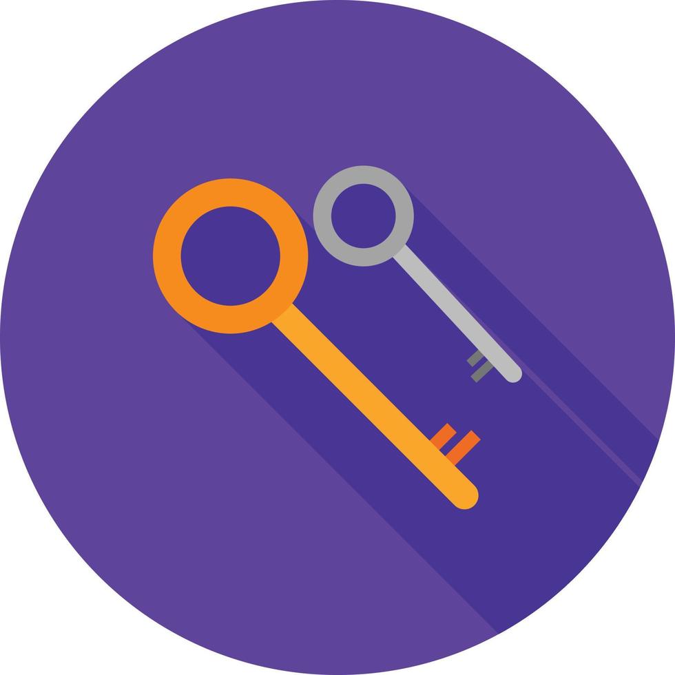 Two Keys Flat Long Shadow Icon vector