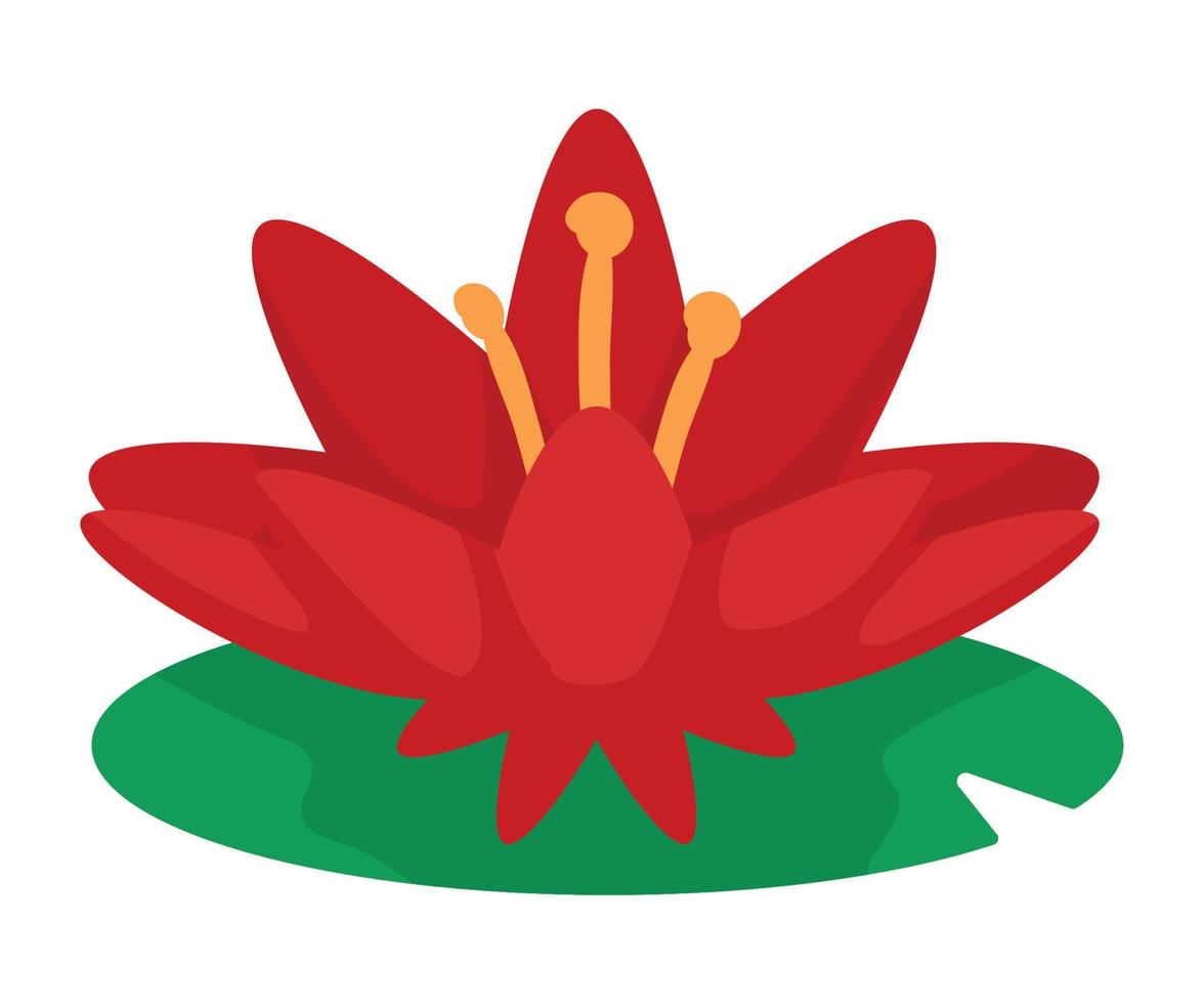 red lotus flower vector