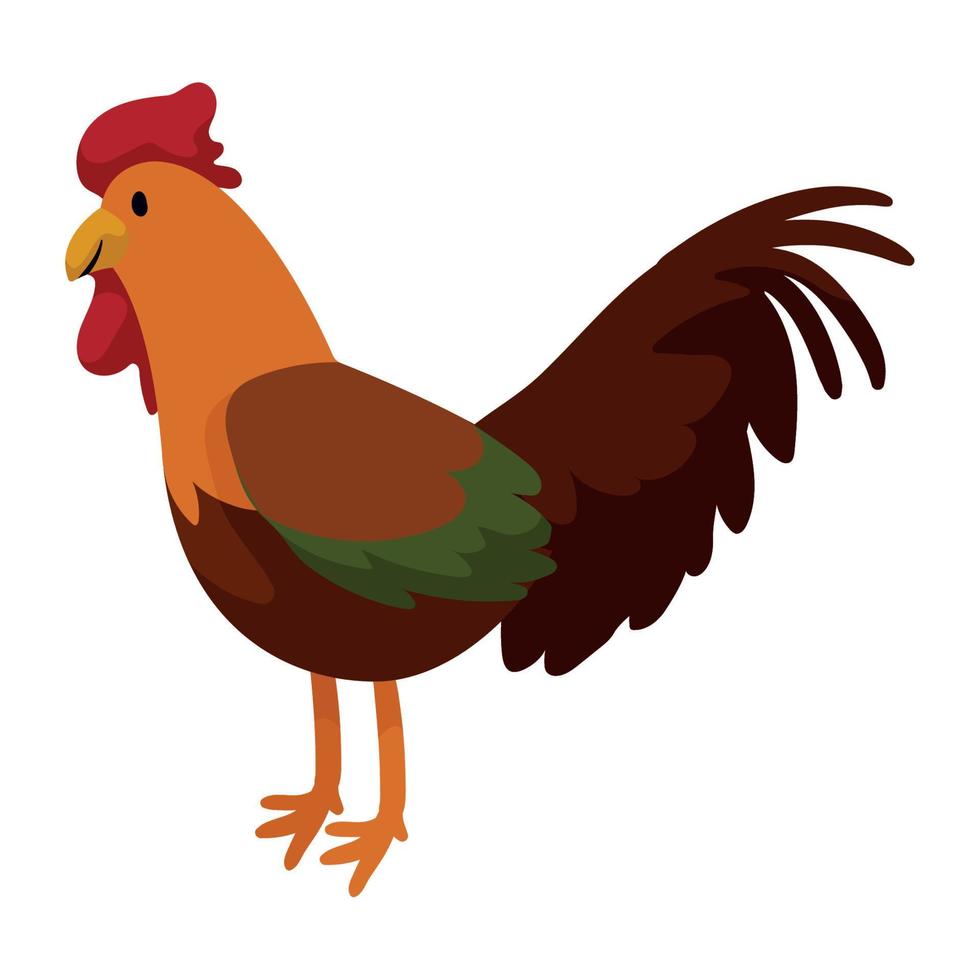 rooster domestic farm animal vector