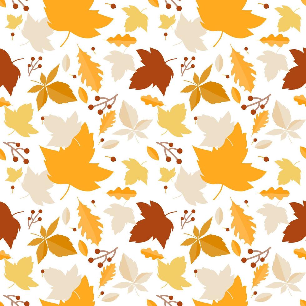 Vector background seamless pattern of autumn leaves with acorns on white background