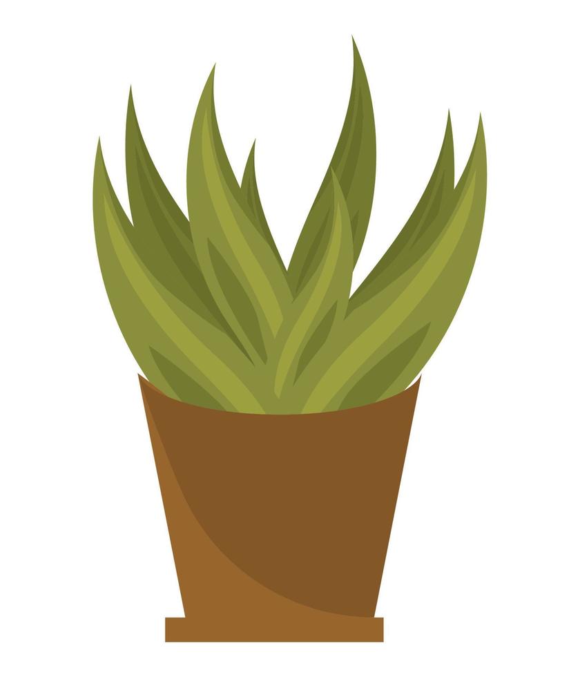planta de interior con hojas vector