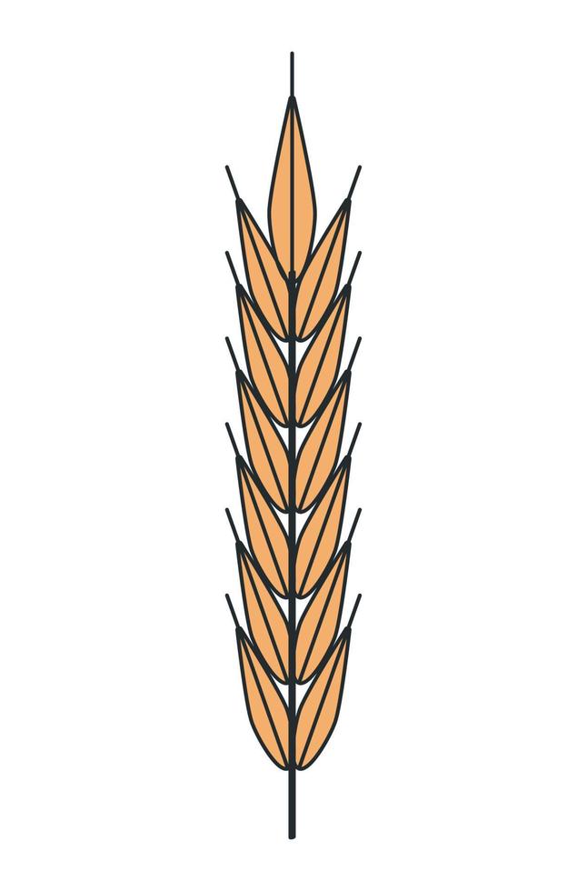 barley spike doodle style vector