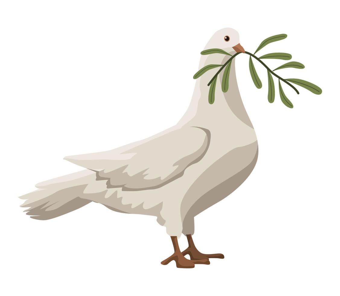 dove with olive branch vector