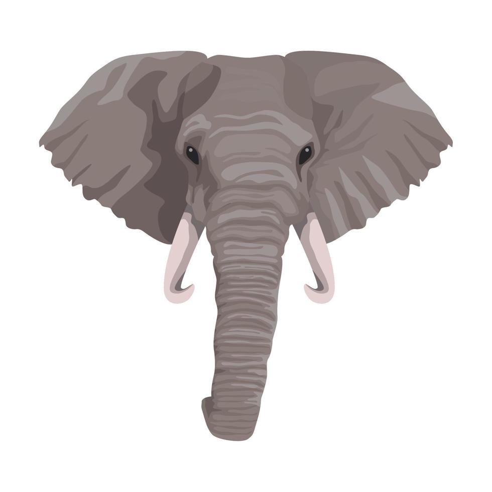 elephant head wild animal vector