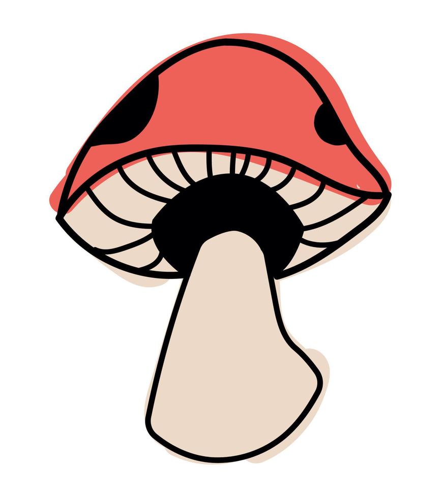 fungus plant garden nature vector