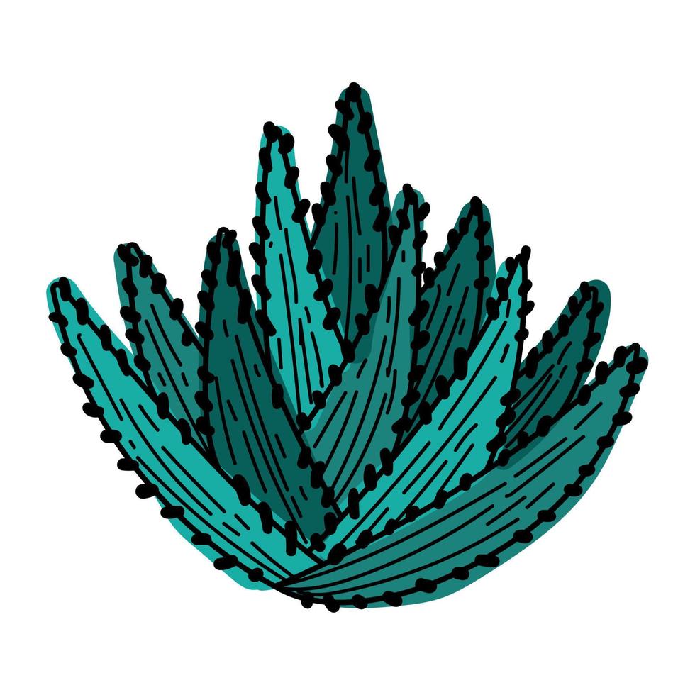 bush leafs plant foliage vector