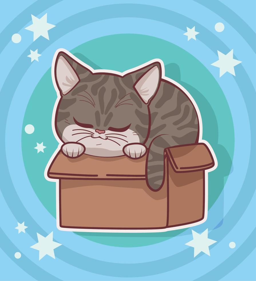 lindo gato en caja con estrellas vector