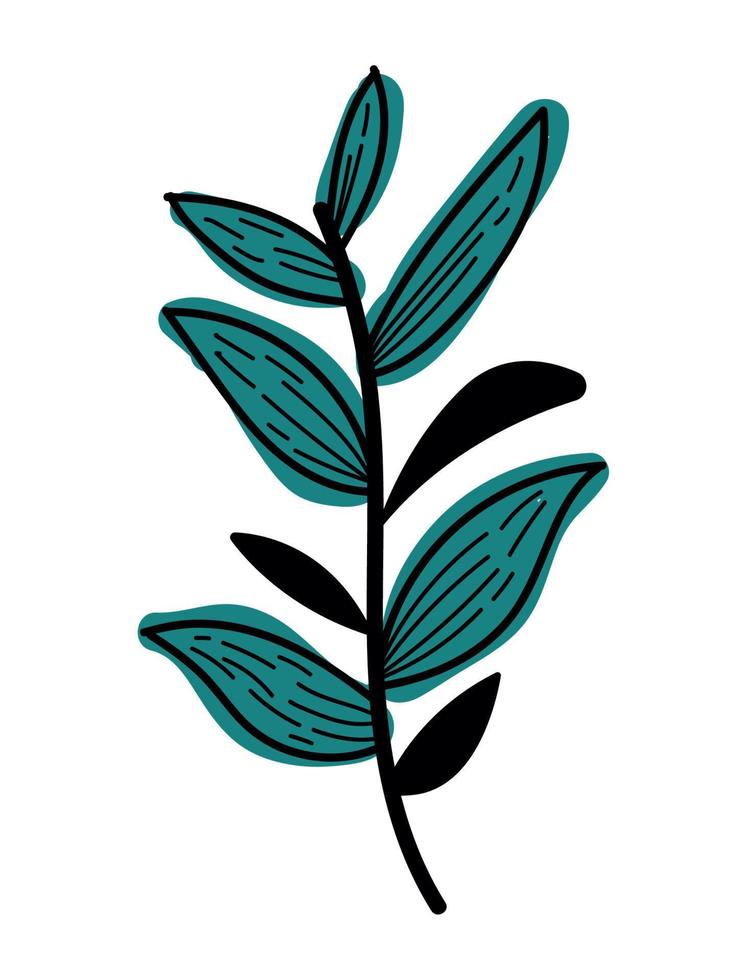 leafs plant branch foliage vector
