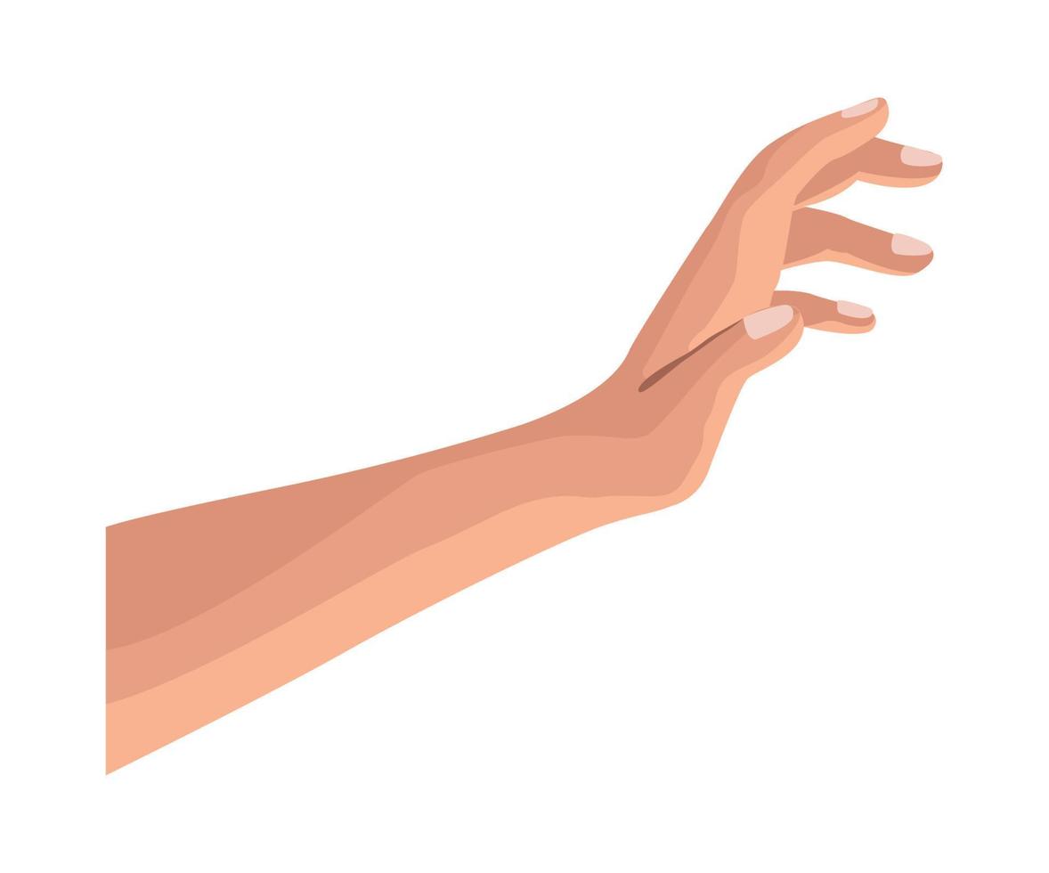 hand human touching vector