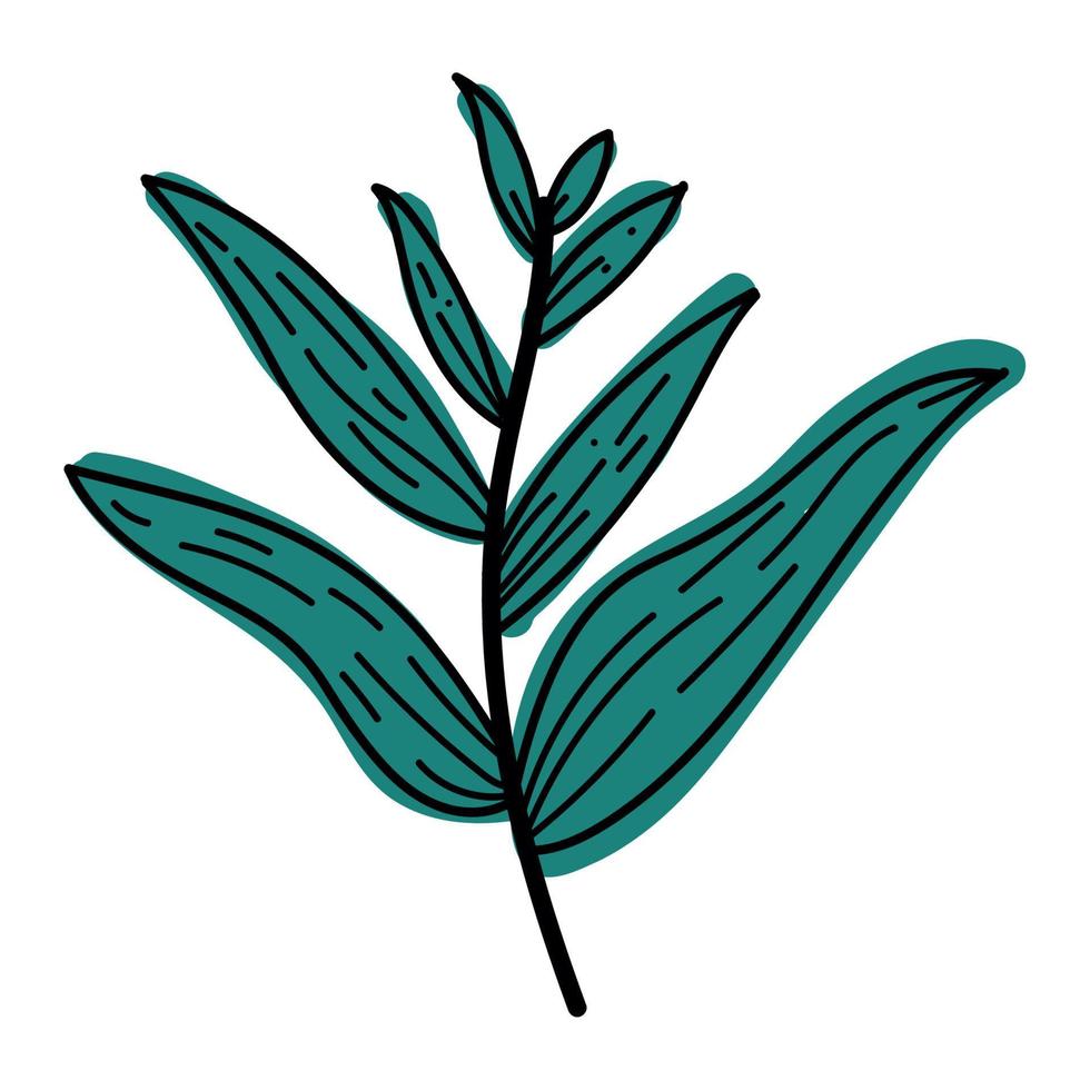 branch leafs foliage vector