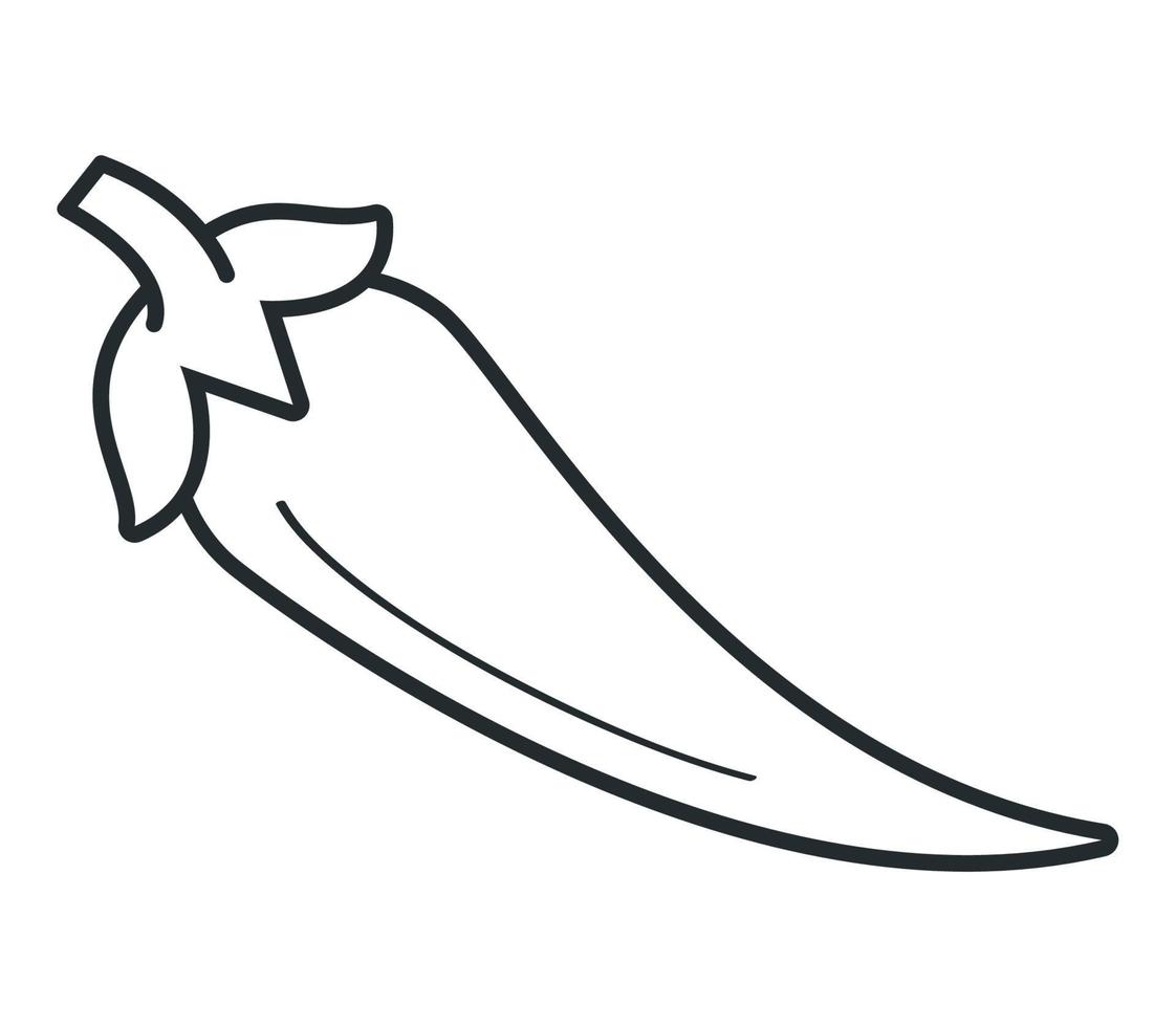 chili pepper fresh vegetable vector