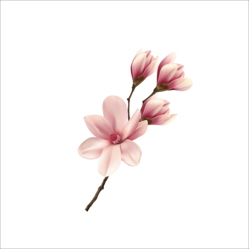 buquê de flores em aquarela rosa png
