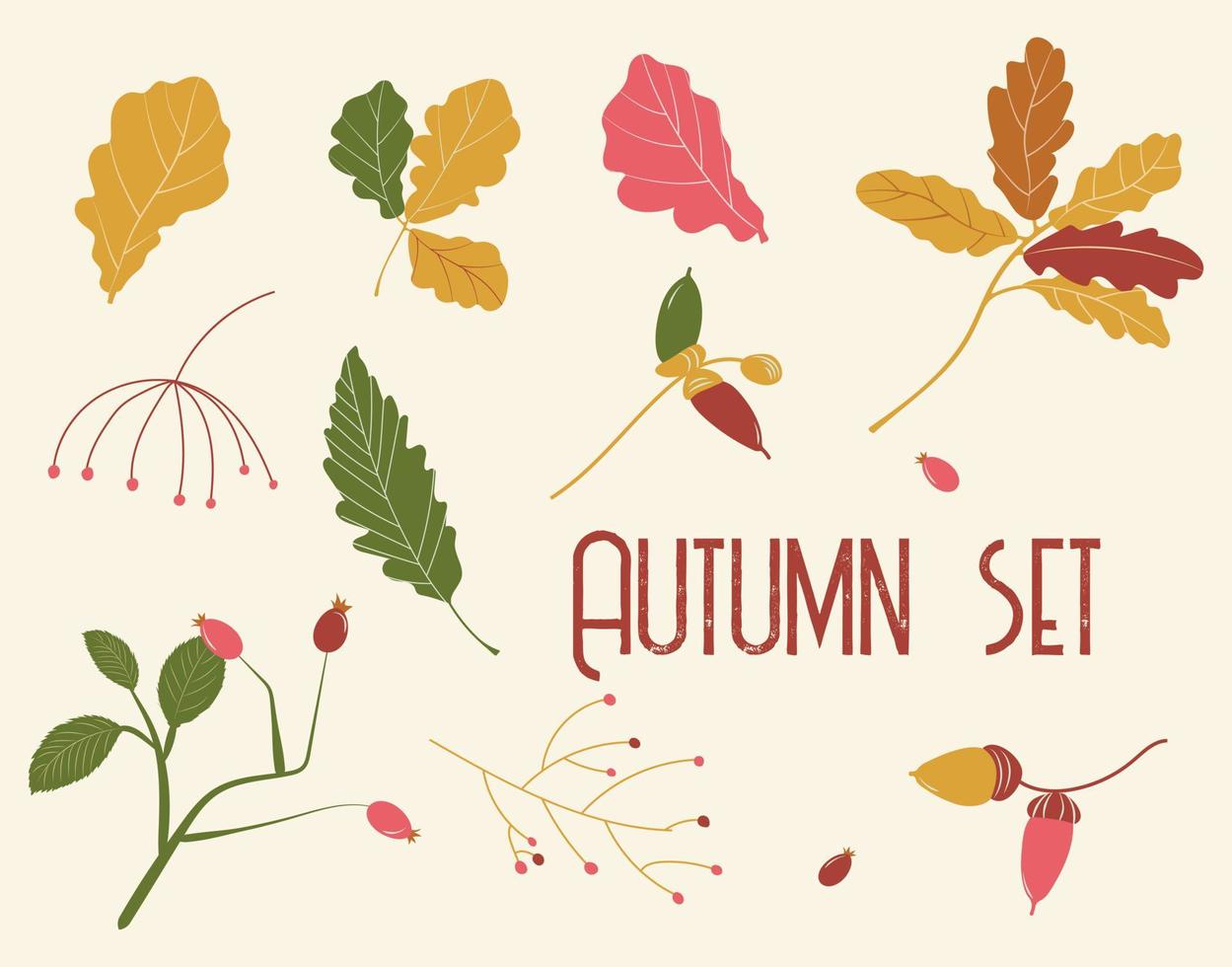 Autumn Leaf Set. Vector illustration of leaves, berries and acorns in orange and pink. Drawings of fall plants for a print or advertisement.