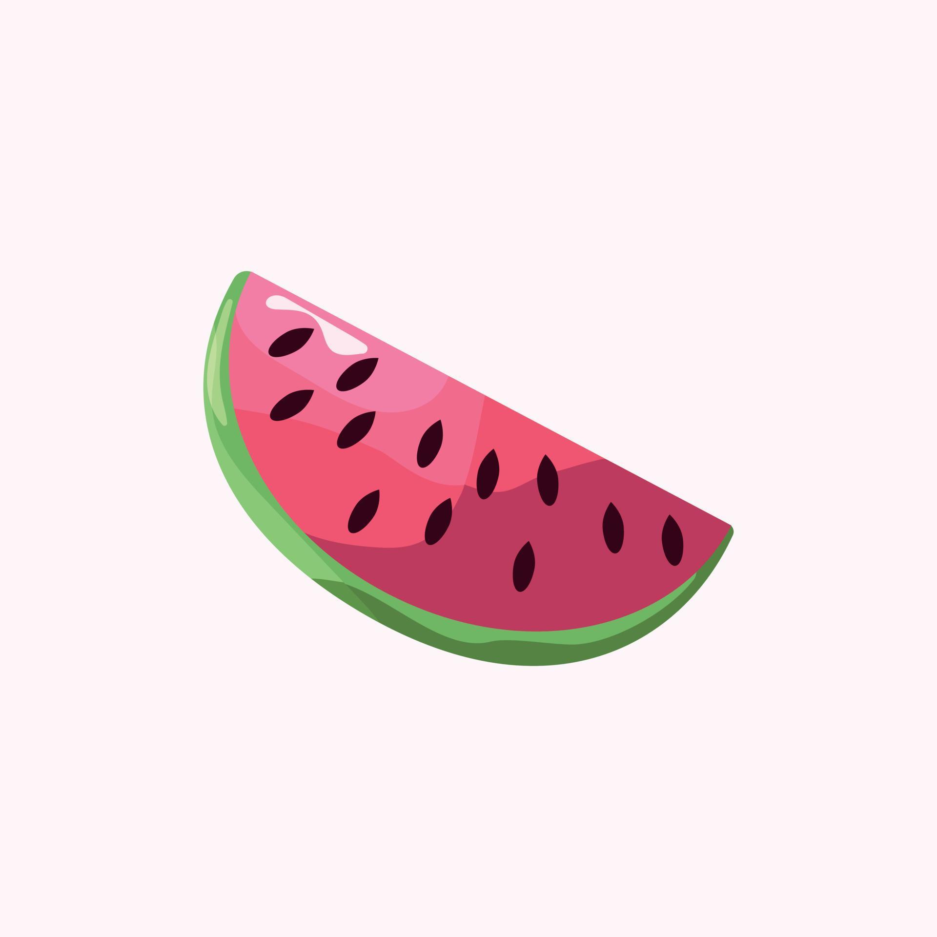 Watermelon. Vector illustration of red watermelon slice with shadow and