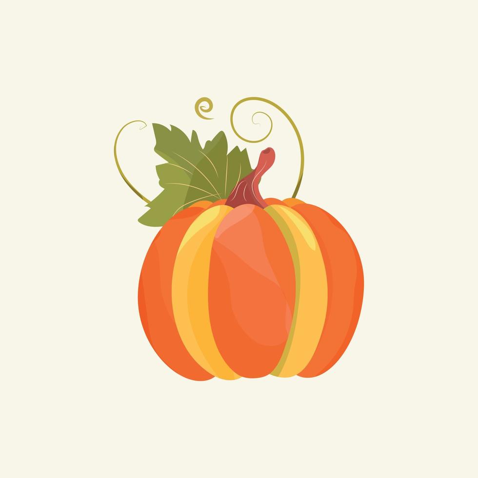 Pumpkin with leaves. vector