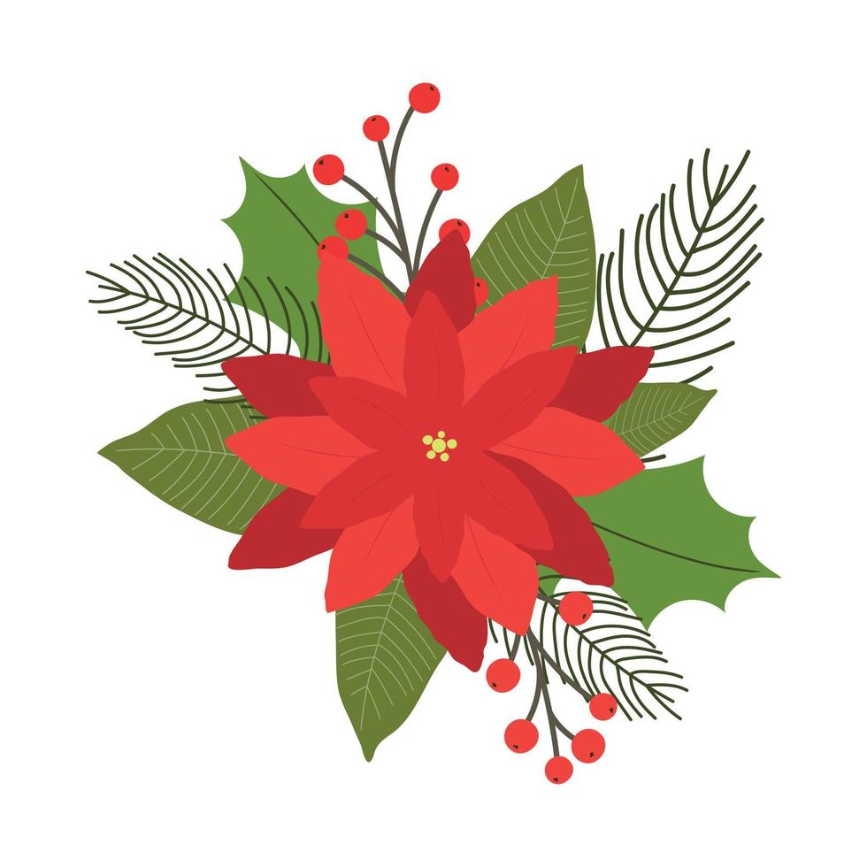 Christmas plants. Poinsettia and ilex leaves. Red berries and spruce branches. Christmas composition for advertisement or card vector